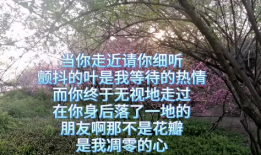 一棵开花的树朗诵视频,一场视觉与听觉的盛宴